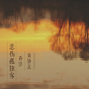 悲伤孤独客 (DJ.House版)封面