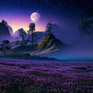 Last ($) (feat. ayyron & DITS)