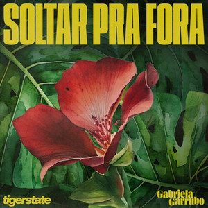 Soltar Pra Fora