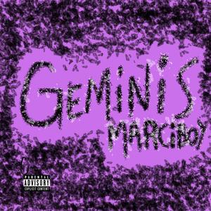 GEMINIS (Purple's Part)