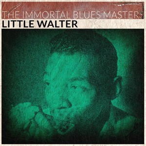 The Immortal Blues Masters (Remastered)