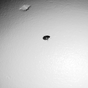 Now That We Are Here