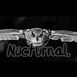 Nocturnal. (Explicit)