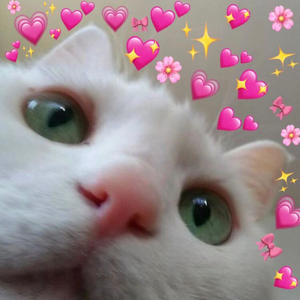 Calming Cat Music For Sleep(feat. Cat Music & RelaxMyCat)