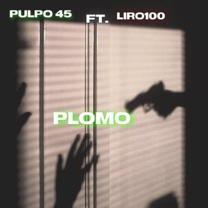 Plomo (feat. liro 100) [Explicit]