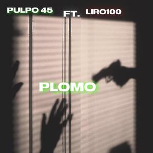 Plomo(feat. liro 100) (Explicit)