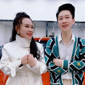 你我终究意难平封面