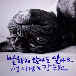 말하지 않아도 알아요 (You don't have to say anything (I already know)) (就算不说我也知道)