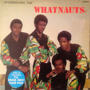 Introducing the Whatnauts