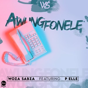 Awungfonele(feat. P Elle)