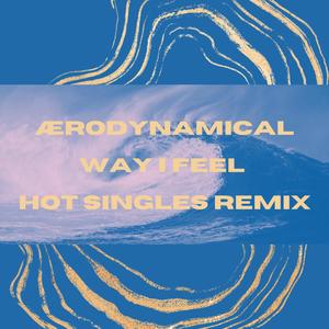 Way I Feel (Hot Singles Remix)