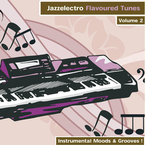 Jazzelectro Flavoured Tunes Vol. 2 - Instrumental Moods & Grooves!