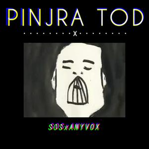 Pinjra Tod(feat. Anyvox)