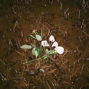 Verletzt (feat. Moonvers) (Explicit)