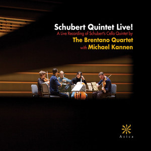 String Quintet in C Major, Op. 163, D. 956 - II. Adagio (Live)