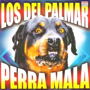 Perra Mala