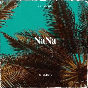 NaNa (feat. Devo253) (Explicit)