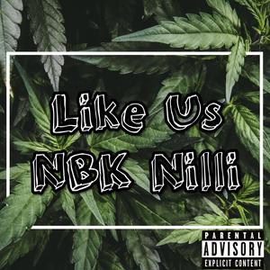 Like Us (Explicit)