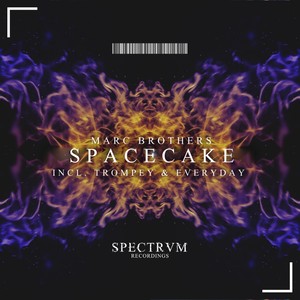 Everyday (Original Mix)