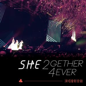 2gether 4ever 演唱会影音馆