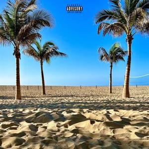 Having It (feat. Joe Fresco & Dom Venice) (Explicit)