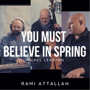 You Must Believe In Spring