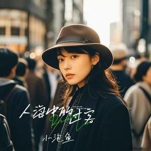 人海中的过客DJ