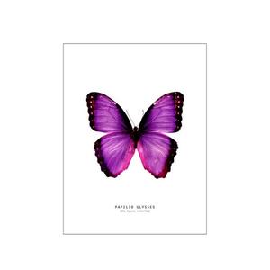 Butterflies (Explicit)