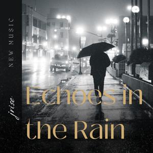 Echoes in the rain