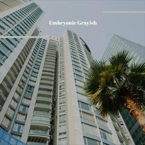 Afternoon Hallucinating