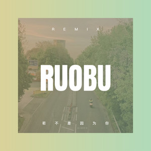 若不是因为你 (DJ版)