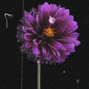 roughpatch (instrumental)