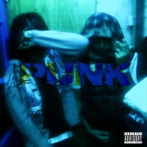 punk (feat. camsoulja) (Explicit)