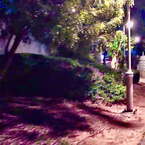 RUBIES IN MY BLUNT (WaveGod Remix|Explicit)