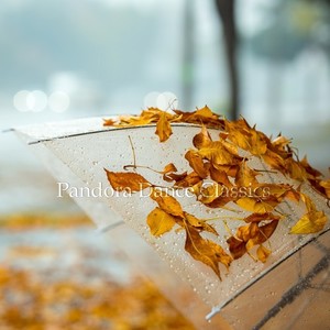 Single Life (Extended Version)