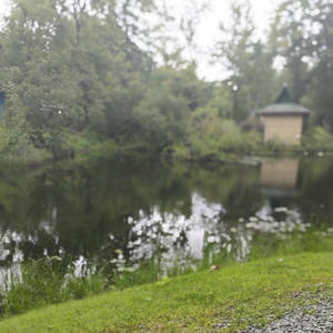 Stream Heat (Explicit)