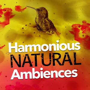 Harmonious Natural Ambiences