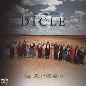 Dicle (feat. Erdal Erdoğan) (Elektro Saz Remıx) (Explicit)