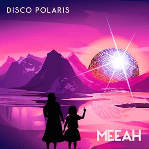 Disco Polaris