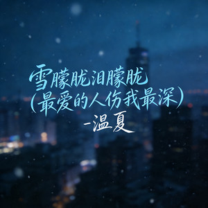 雪朦胧泪朦胧 (最爱的人伤我最深)