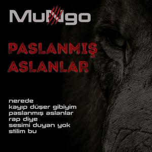 Stilim Bu(feat. Nesil & Sezz) (Explicit)