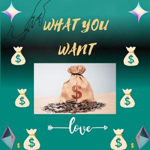 What You Want (Explicit)