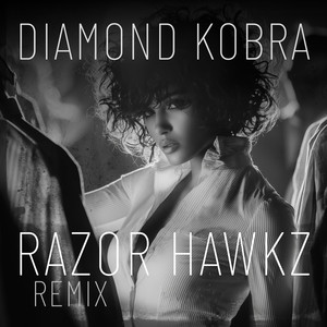 Razor Hawkz (T.G. Remix)