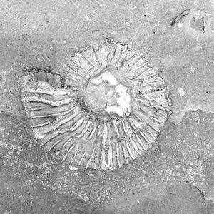 We're Human(feat. Carl Sagan)