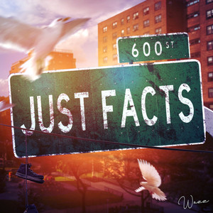 JUST FACTS (Explicit)