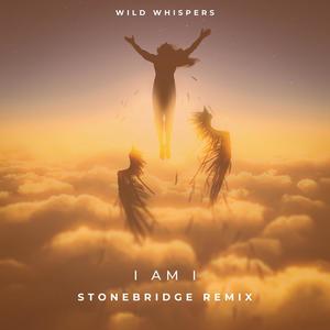 I Am I (Stonebridge Remix (Radio Edit)