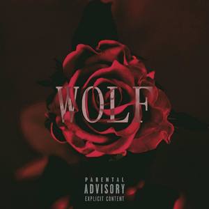 Rose (feat. Steven Blanchette u0026 Flavincy Code)