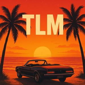TLM (Explicit)