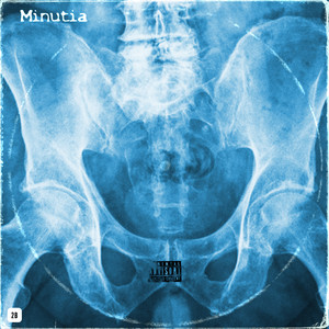 MINUTIA (Explicit)