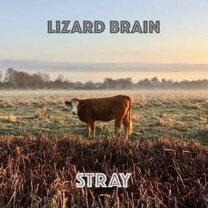 Lizard Brain - Should I Tell You?